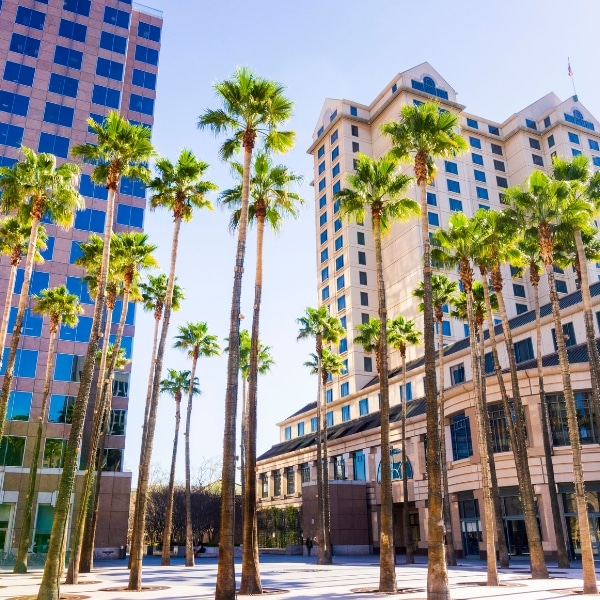 Professional cleaning services in San Jose, CA