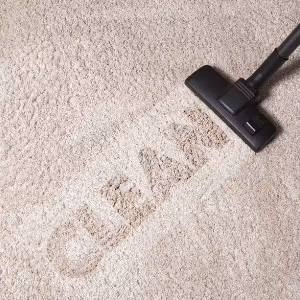 Recurring Maid Services