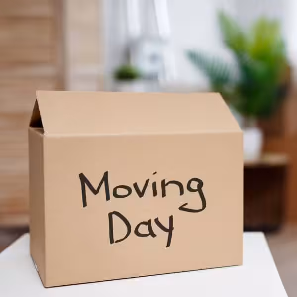 Move In/Out Cleaning Services