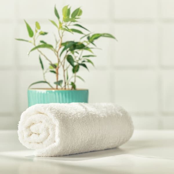 Recurring cleaning services that fit your schedule